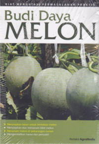 Budi Daya Melon