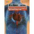 Sistem Kardiovaskular; at a glance