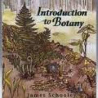 Introduction to Botany