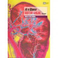 At a glance : Sistem Ginjal