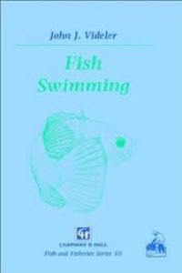 Image of Fish Swimming
